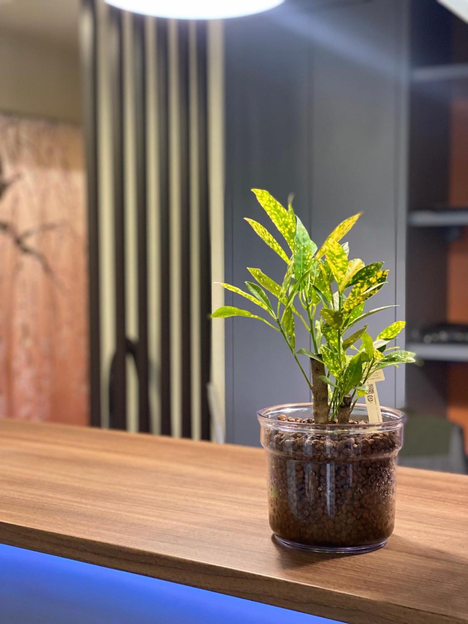 Fit Akihabara Aparthotel Tokio